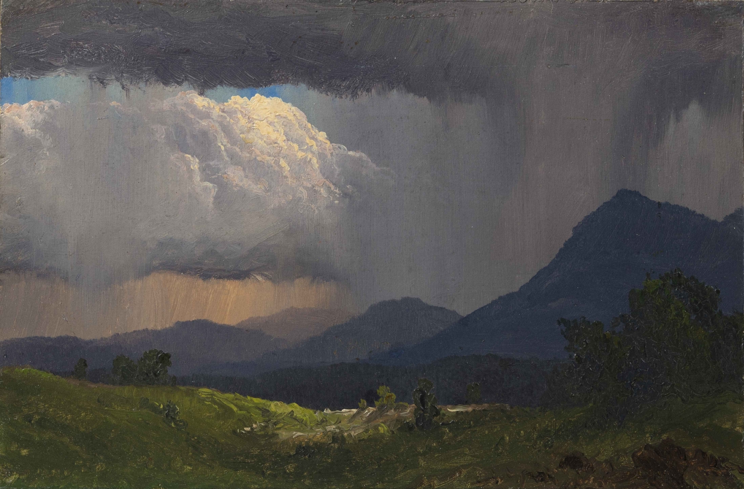 Frederic Edwin Church, Mountainside Downpour