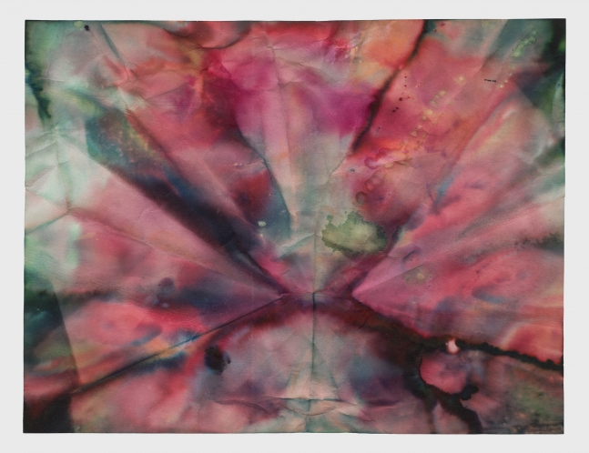 Sam Gilliam

Untitled

1970

ink, dye and acrylic on paper

18 x 23 &amp;frac12; inches (45.72 x 59.69 cm)